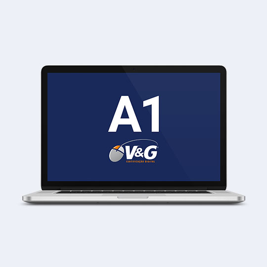 e-CNPJ A1 | Arquivo (1 ano)